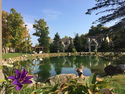 Spruce Hill Inn&Cottages Mansfield Exterior foto