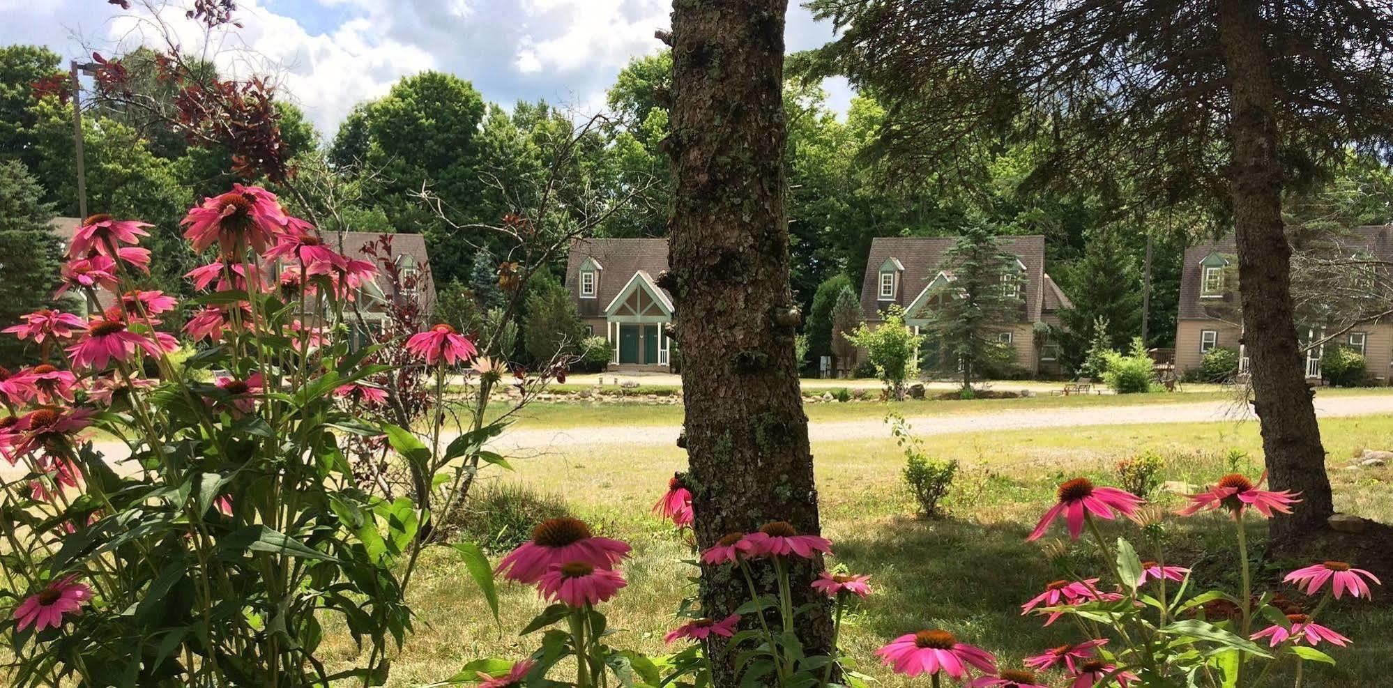 Spruce Hill Inn&Cottages Mansfield Exterior foto